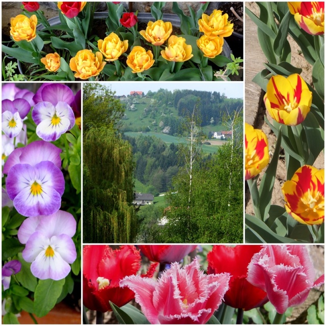 Austria in the spring