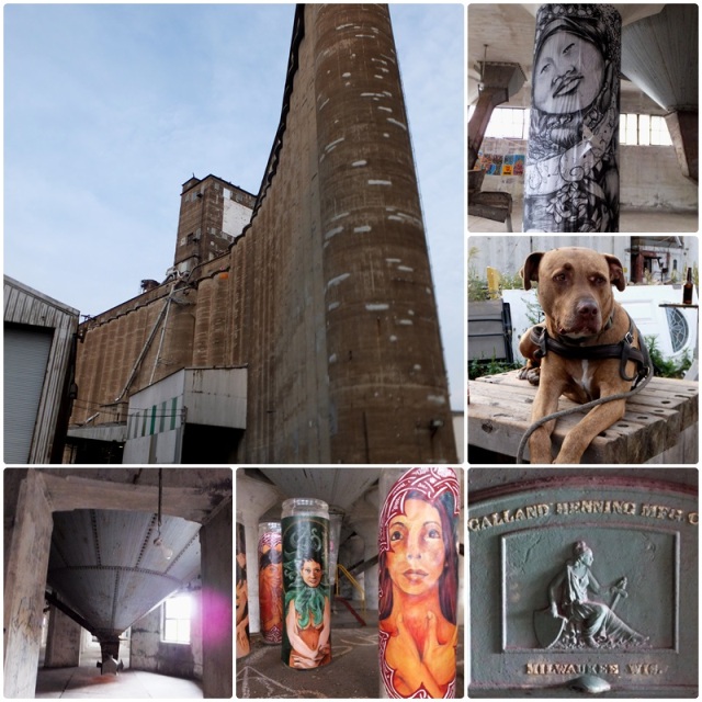 Buffalo travel: a peek inside the famous silos of Buffalo