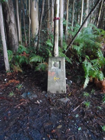 Camino markers along the way