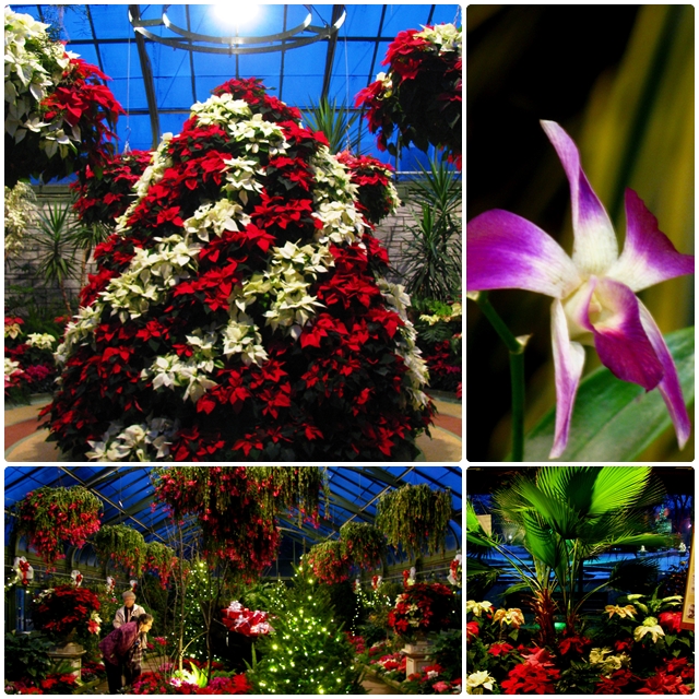 Christmas displays in the Floral Showhouse