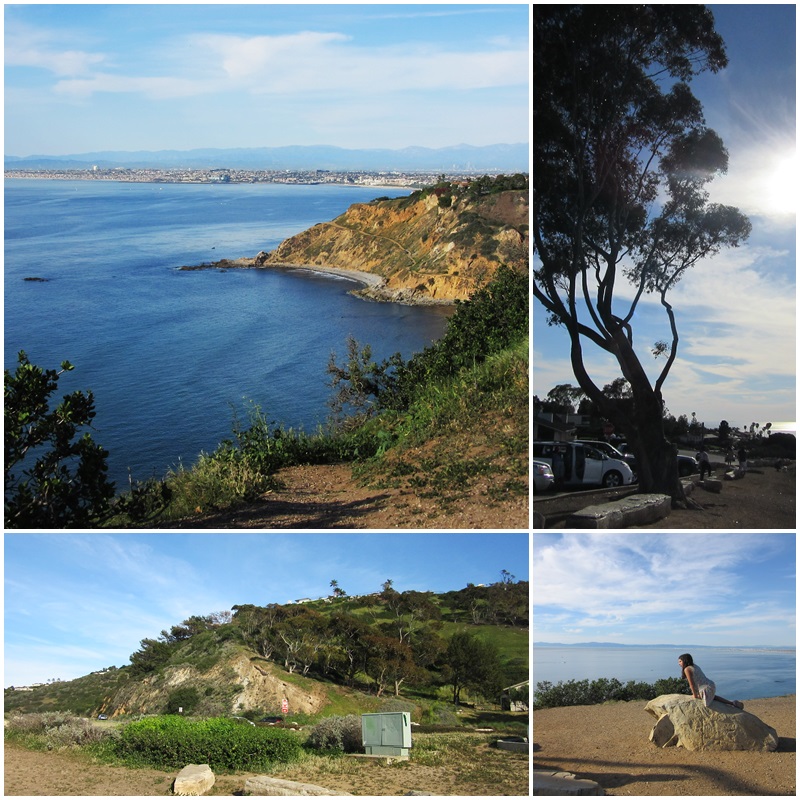 California's stunning coastlines attract many snowbirds