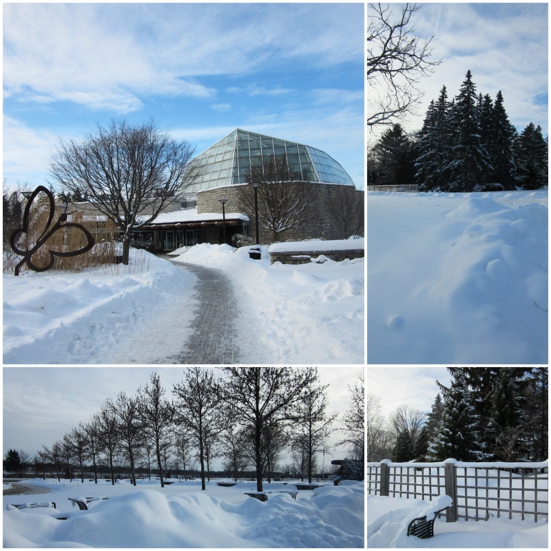 Wintery views of the Niagara Falls Butterfly Conservatory